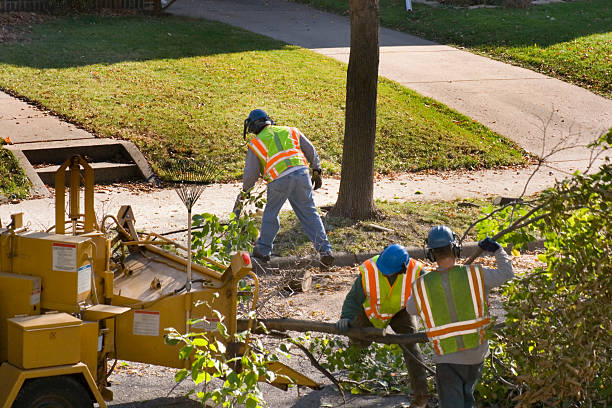 Best Commercial Tree Services  in Little Round Lake, WI